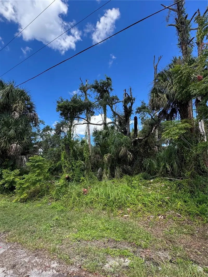 ZAMITA AVENUE, NORTH PORT, photo 5 of 8