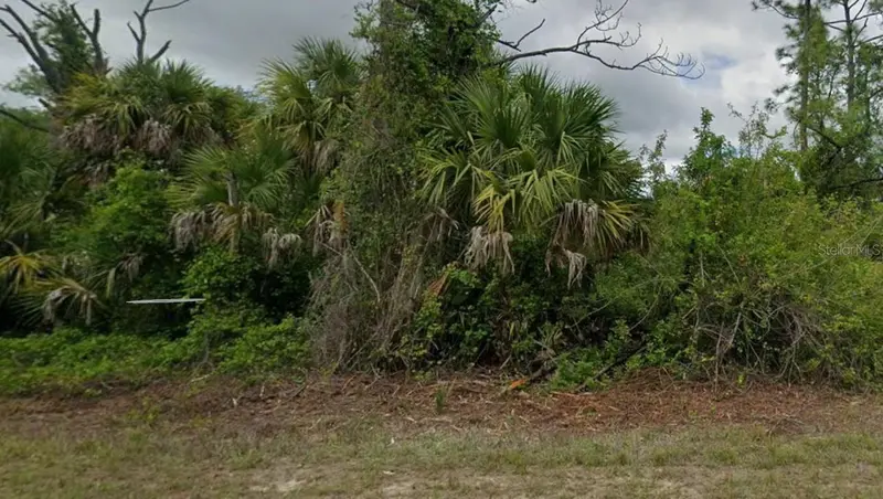 NYMPH AVENUE, NORTH PORT