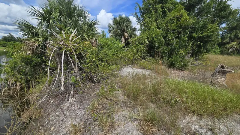 14153 FRUITPORT CIRCLE, PORT CHARLOTTE, photo 4 of 6